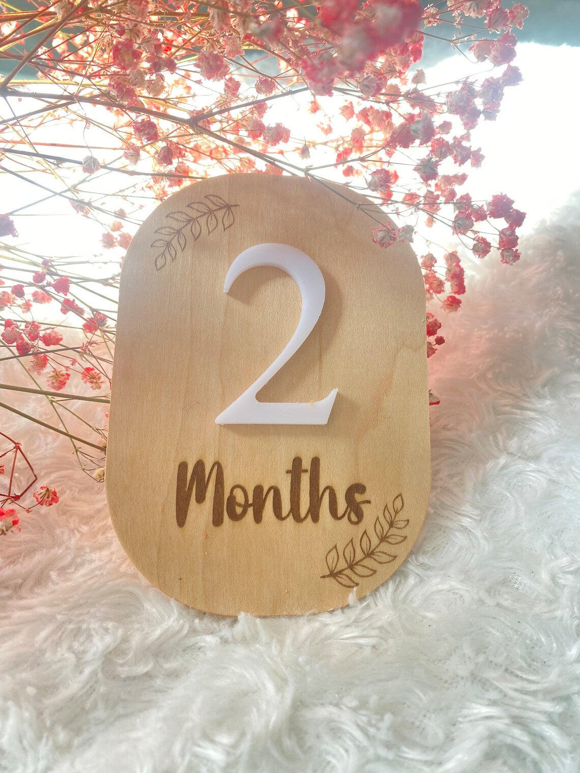 Personalized Monthly Milestone Baby Discs, Wooden Markers for Baby Shower & Month Photos newborn