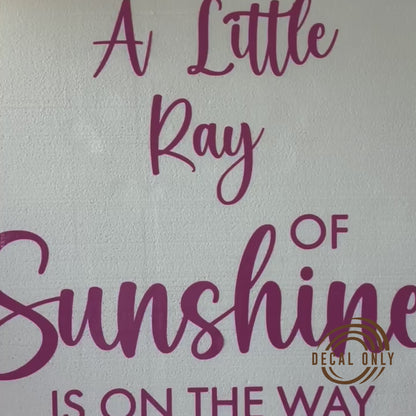 Custom Backdrop Decal for Weddings, Baby Showers & Birthdays